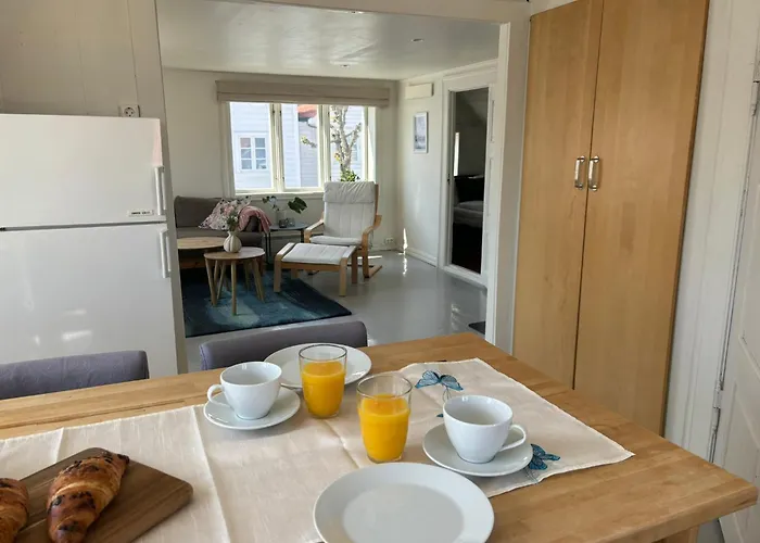 Romslig Leilighet I Sentrum Med Egen Takterrasse