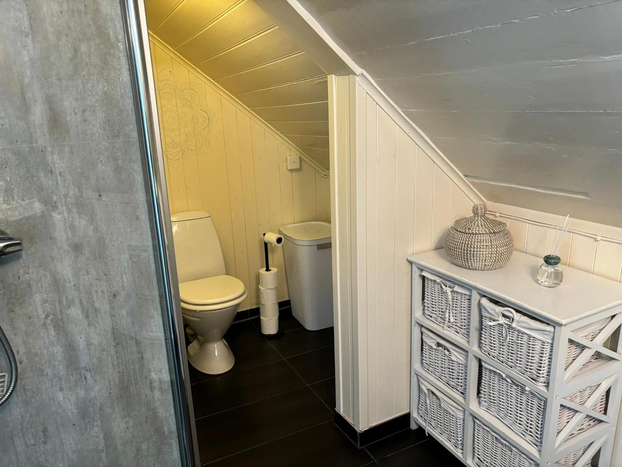Romslig I Sentrum Med Egen Takterrasse Leilighet *
