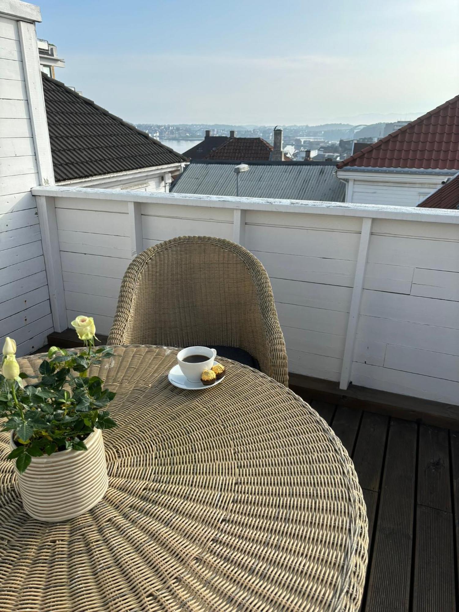 Romslig I Sentrum Med Egen Takterrasse Leilighet