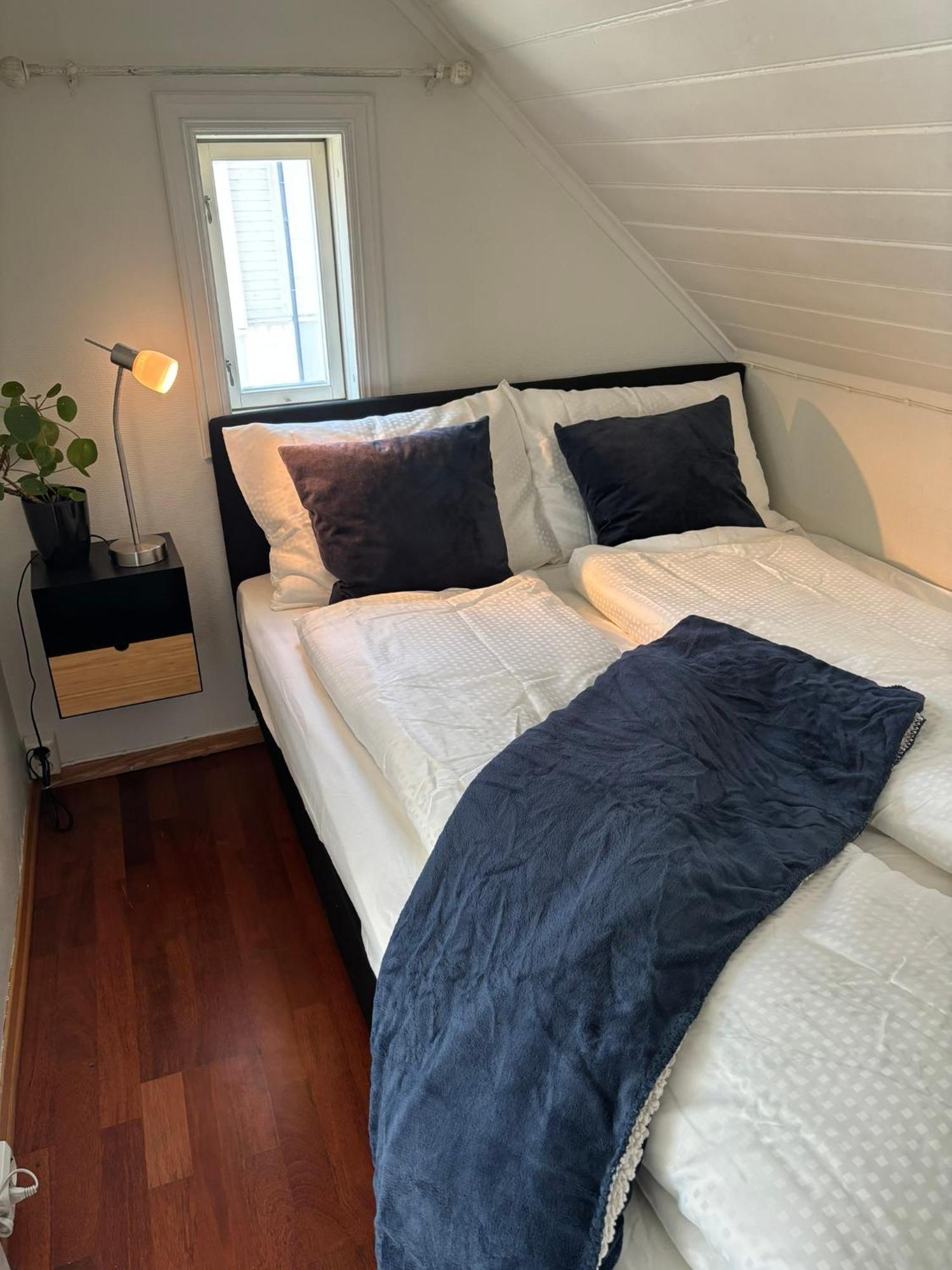 Romslig I Sentrum Med Egen Takterrasse